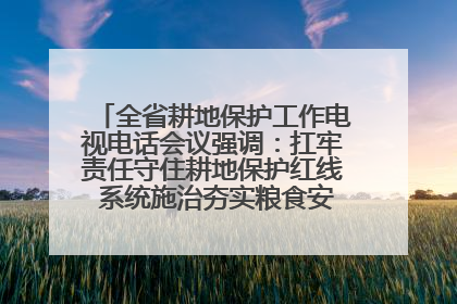 全省耕地保护工作电视电话会议强调：扛牢责任守住耕地保护红线 系统施治夯实粮食安全根基 王宁作出批示 王予波出席并讲话