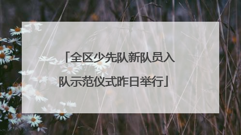 全区少先队新队员入队示范仪式昨日举行
