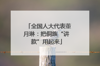全国人大代表董月琳：把侗族“讲款”用起来