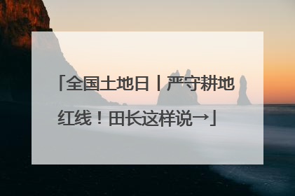全国土地日丨严守耕地红线！田长这样说→