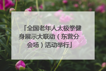 全国老年人太极拳健身展示大联动（东营分会场）活动举行