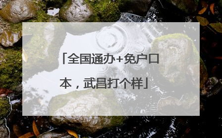 全国通办+免户口本，武昌打个样