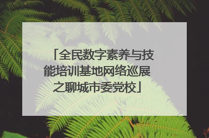 全民数字素养与技能培训基地网络巡展之聊城市委党校