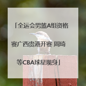 全运会男篮A组资格赛广西贵港开赛 周琦等CBA球星现身