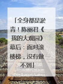 全身都是淤青！陈丽君《我的大观园》幕后：面对滚楼梯，没有做不到
