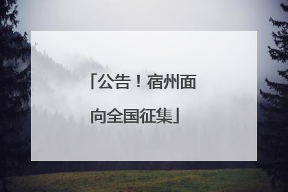 公告！宿州面向全国征集