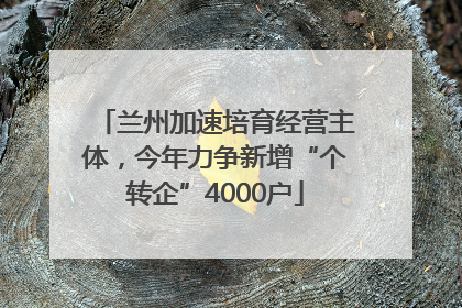 兰州加速培育经营主体，今年力争新增“个转企”4000户