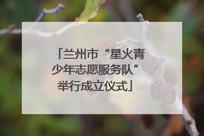 兰州市“星火青少年志愿服务队”举行成立仪式