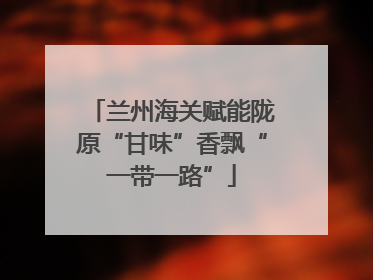 兰州海关赋能陇原“甘味”香飘“一带一路”