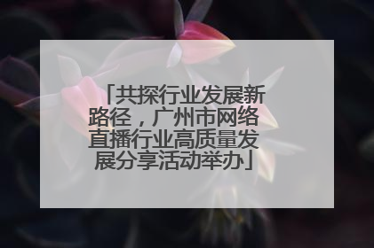 共探行业发展新路径，广州市网络直播行业高质量发展分享活动举办