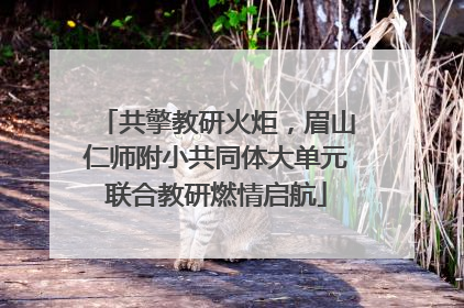 共擎教研火炬，眉山仁师附小共同体大单元联合教研燃情启航