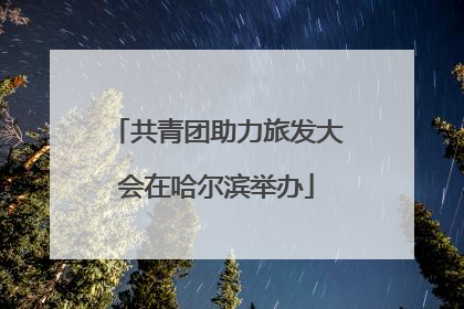 共青团助力旅发大会在哈尔滨举办