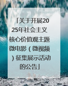关于开展2025年社会主义核心价值观主题微电影（微视频）征集展示活动的公告