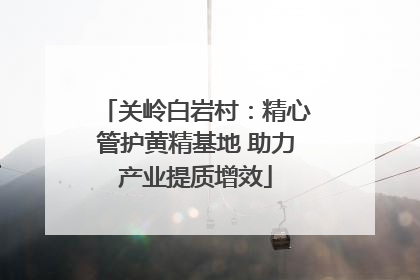 关岭白岩村：精心管护黄精基地 助力产业提质增效