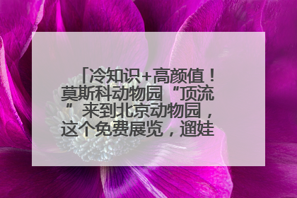 冷知识+高颜值！莫斯科动物园“顶流”来到北京动物园，这个免费展览，遛娃拍照两不误！