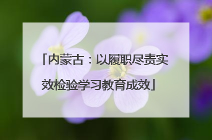 内蒙古：以履职尽责实效检验学习教育成效