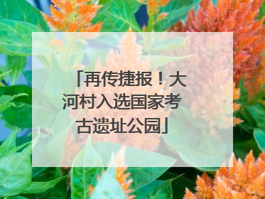 再传捷报！大河村入选国家考古遗址公园