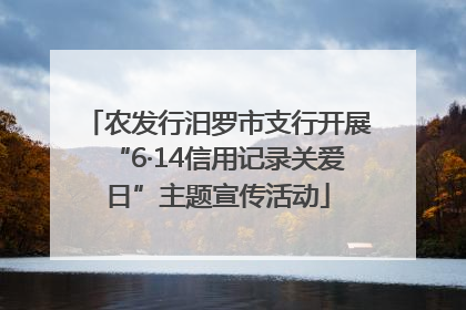 农发行汨罗市支行开展“6·14信用记录关爱日”主题宣传活动