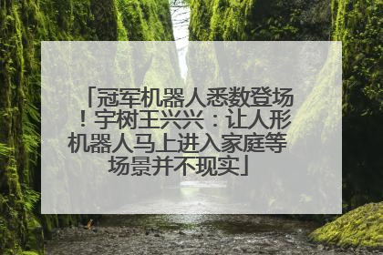 冠军机器人悉数登场！宇树王兴兴：让人形机器人马上进入家庭等场景并不现实