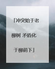 冲突始于老柳树 矛盾化于柳荫下
