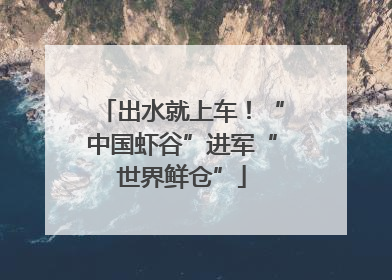 出水就上车！“中国虾谷”进军“世界鲜仓”