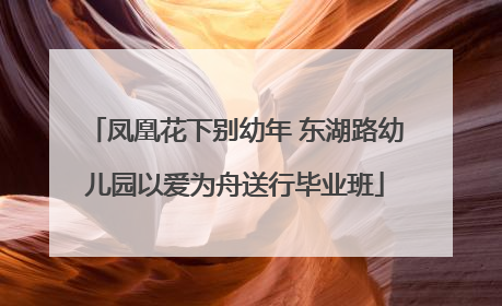 凤凰花下别幼年 东湖路幼儿园以爱为舟送行毕业班