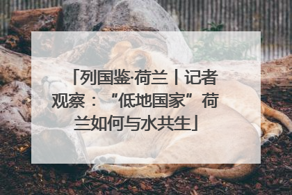 列国鉴·荷兰丨记者观察：“低地国家”荷兰如何与水共生
