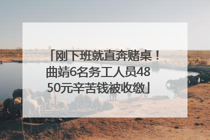 刚下班就直奔赌桌！曲靖6名务工人员4850元辛苦钱被收缴