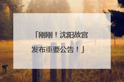 刚刚！沈阳故宫发布重要公告！