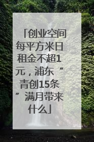 创业空间每平方米日租金不超1元，浦东“青创15条”满月带来什么