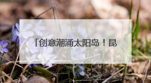 创意潮涌太阳岛！昆仑学子点亮2025首届端午节文化周