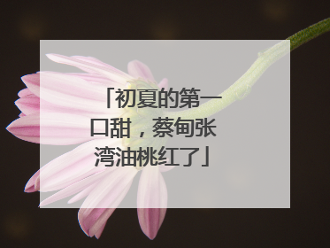 初夏的第一口甜，蔡甸张湾油桃红了