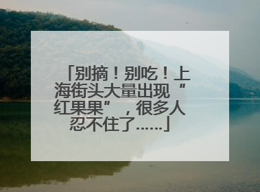 别摘！别吃！上海街头大量出现“红果果”，很多人忍不住了……