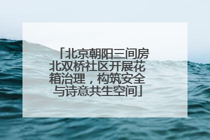 北京朝阳三间房北双桥社区开展花箱治理，构筑安全与诗意共生空间