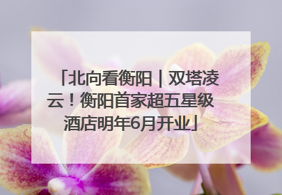 北向看衡阳｜双塔凌云！衡阳首家超五星级酒店明年6月开业