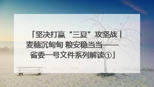 坚决打赢“三夏”攻坚战丨麦穗沉甸甸 粮安稳当当——省委一号文件系列解读①