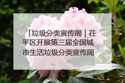 垃圾分类宣传周｜茌平区开展第三届全国城市生活垃圾分类宣传周系列活动之垃圾分类基层专题培训活动