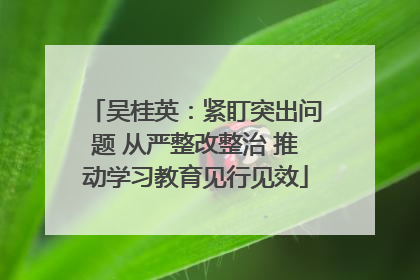 吴桂英：紧盯突出问题 从严整改整治 推动学习教育见行见效