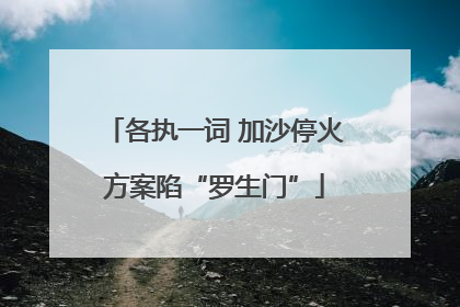 各执一词 加沙停火方案陷“罗生门”
