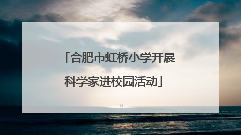 合肥市虹桥小学开展科学家进校园活动