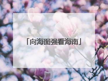向海图强看海南