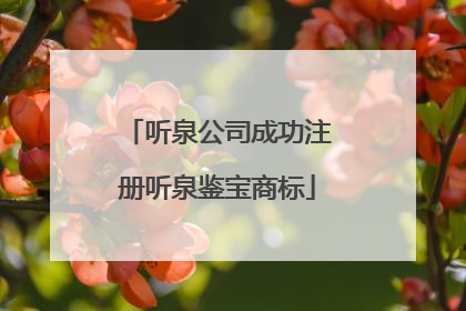 听泉公司成功注册听泉鉴宝商标