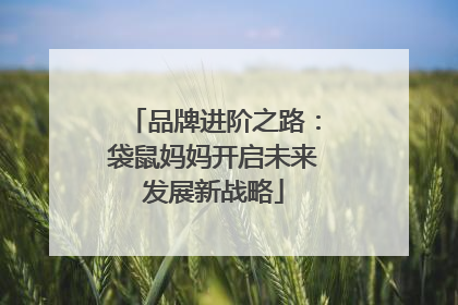 品牌进阶之路：袋鼠妈妈开启未来发展新战略