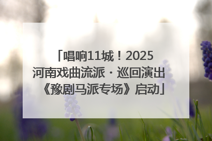 唱响11城！2025河南戏曲流派・巡回演出《豫剧马派专场》启动