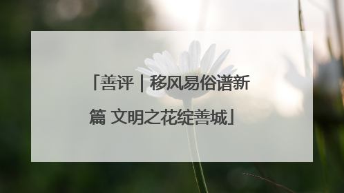 善评｜移风易俗谱新篇 文明之花绽善城