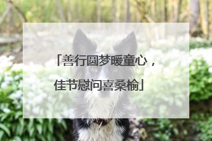 善行圆梦暖童心，佳节慰问喜桑榆
