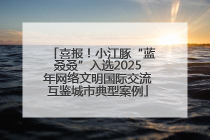喜报！小江豚“蓝叒叒”入选2025年网络文明国际交流互鉴城市典型案例