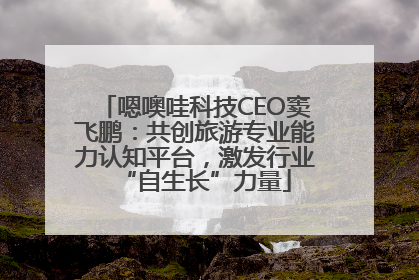嗯噢哇科技CEO窦飞鹏：共创旅游专业能力认知平台，激发行业“自生长”力量