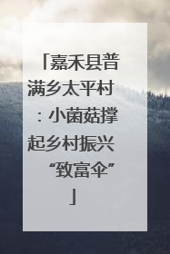 嘉禾县普满乡太平村：小菌菇撑起乡村振兴“致富伞”