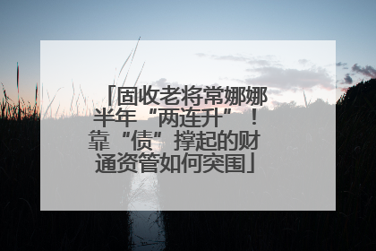 固收老将常娜娜半年“两连升”！靠“债”撑起的财通资管如何突围